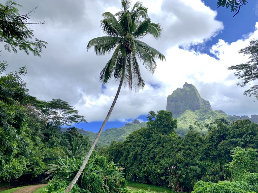 prix voyage polynesie francaise 1 semaine