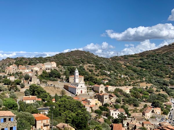 Corbora en Corse